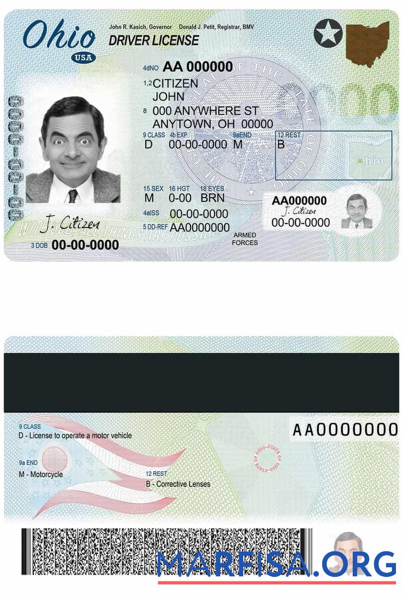 Printable USA Ohio DL example